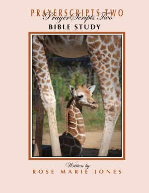 PrayerScripts Two Bible Study