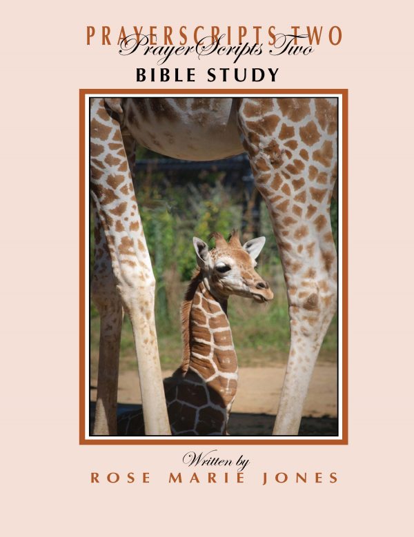 PrayerScripts Two Bible Study
